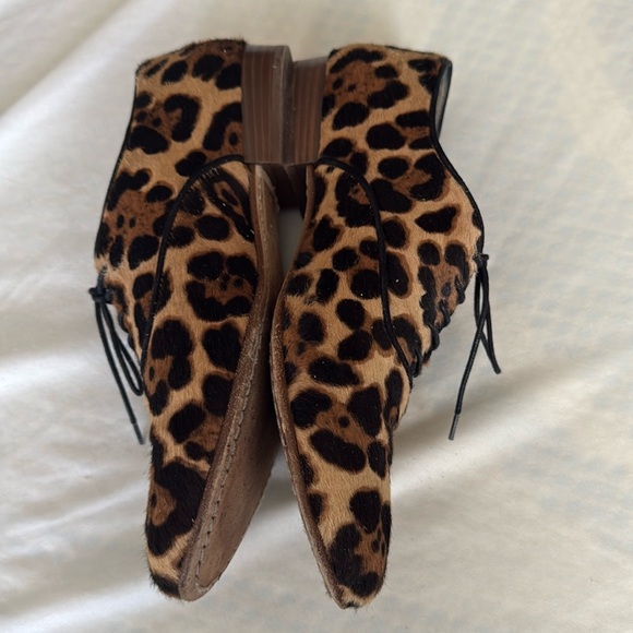 Leopard JCrew collection calfskin Lace-Up Oxford hazelnut
Made in Italy - Picture 12 of 17